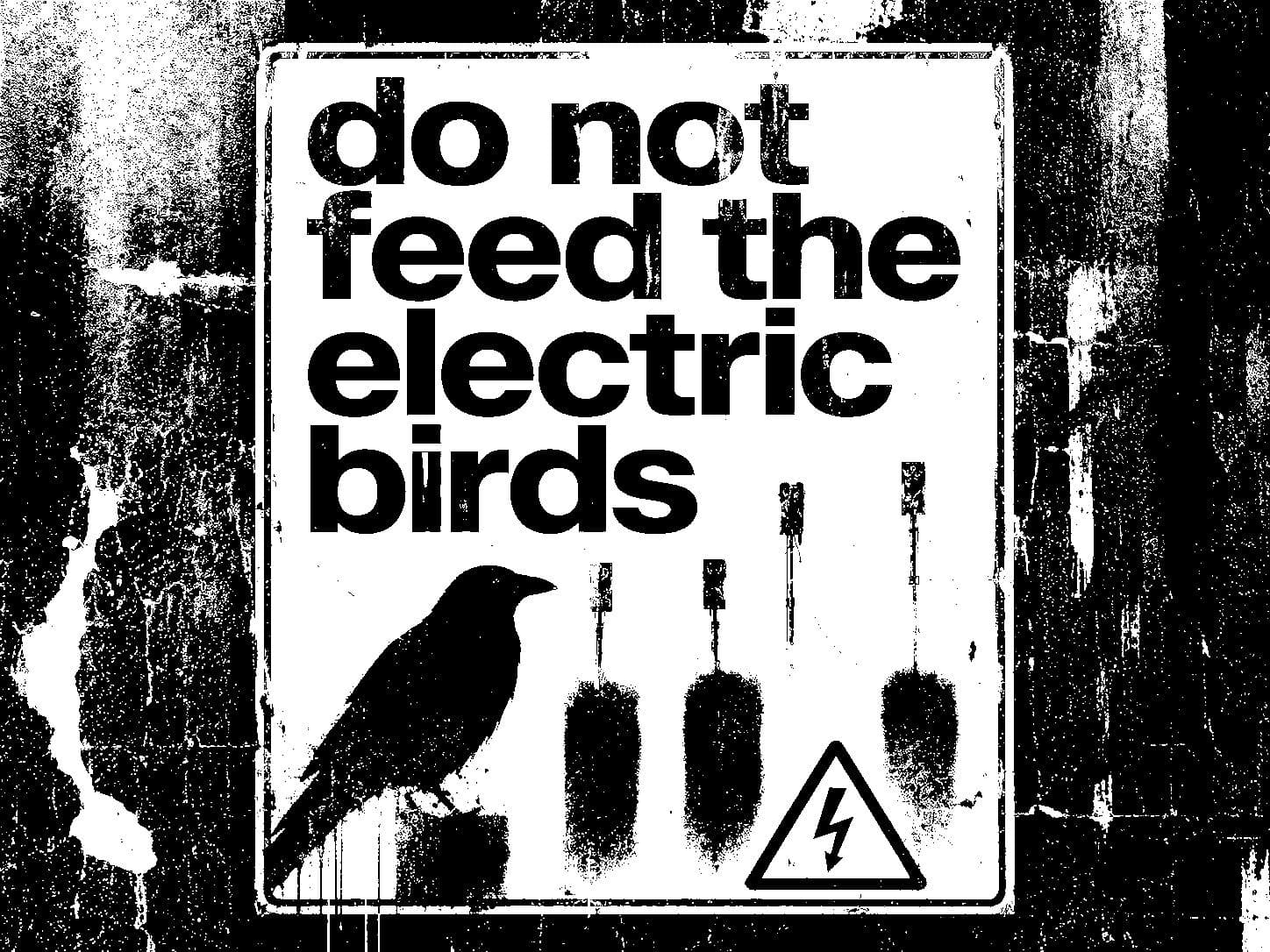 DO NOT FEED THE ELECTRIC BIRDS · Marco Fusi & Scott McLaughlin