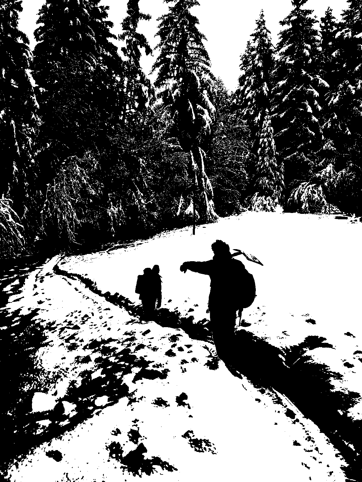 ONE OWL SOUL – DEZALP